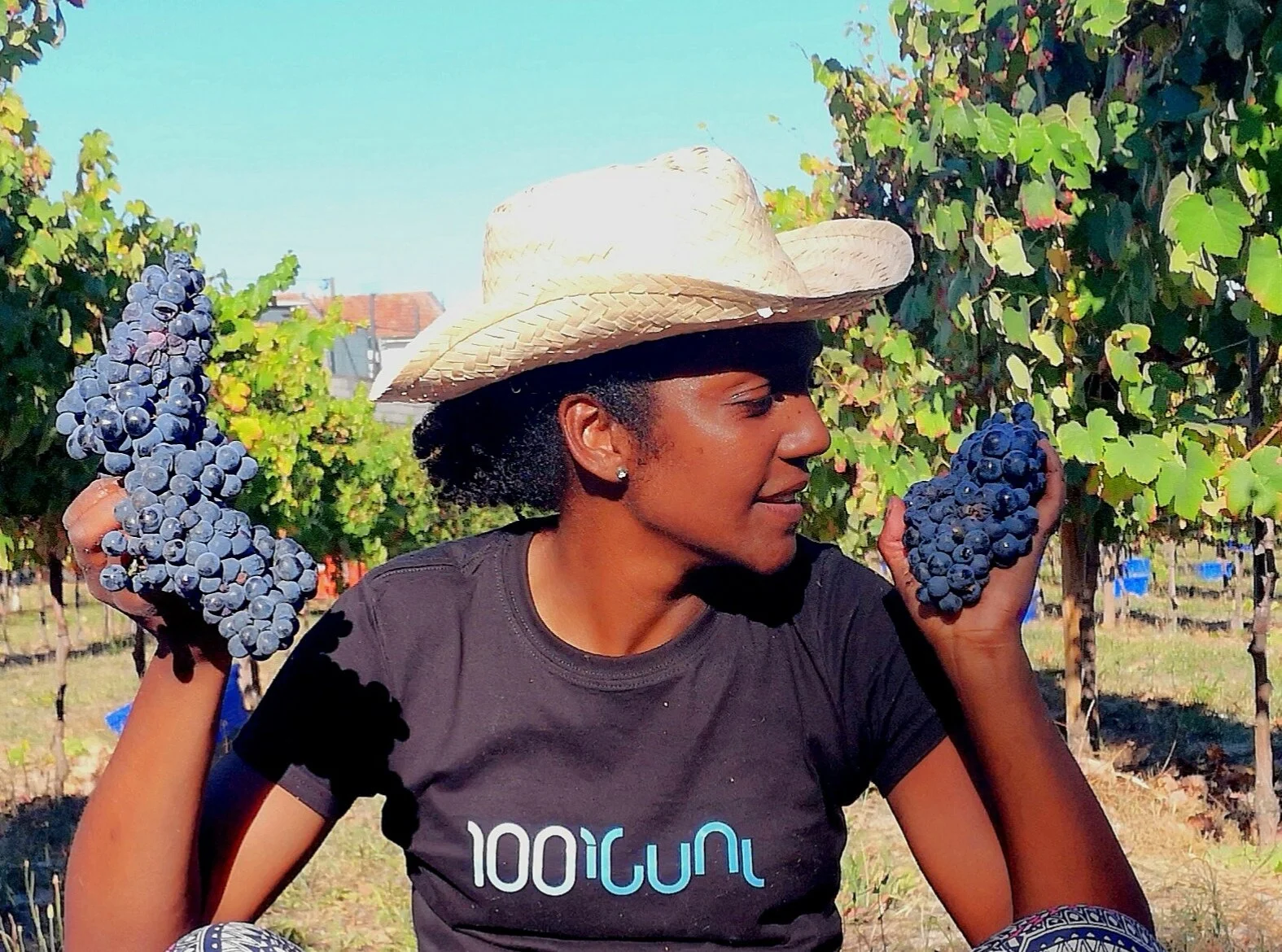 2021 ラマダス メタル ヴィーニョ・ヴェルデ / セン・イグアル | Wine